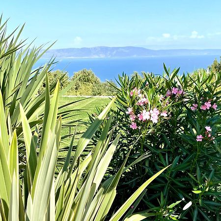 Luxury Panorama Vila With Amazing Seaview In Gondolici 7 Km From Rabac 拉宾 外观 照片