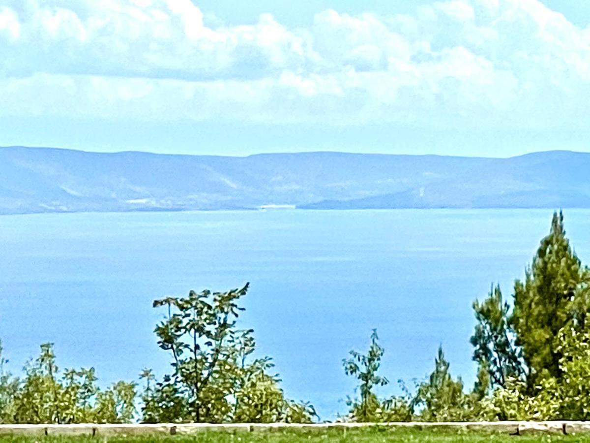 Luxury Panorama Vila With Amazing Seaview In Gondolici 7 Km From Rabac 拉宾 外观 照片