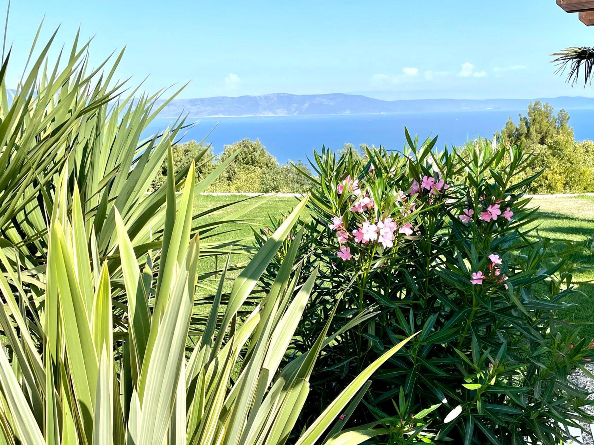 Luxury Panorama Vila With Amazing Seaview In Gondolici 7 Km From Rabac 拉宾 外观 照片